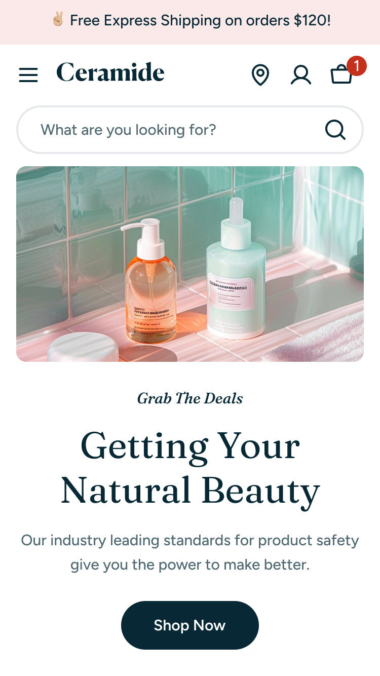 Ecommerce Excellence Theme™